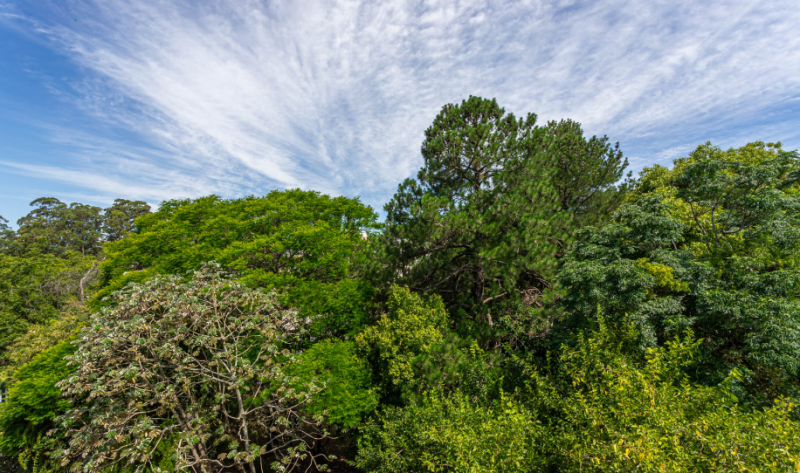 Apartamento à venda Jardim Itu com 251m² e 3 quartos por R$ 1.450.000 - 1432271289-vista-eterna-do-terraco.PNG