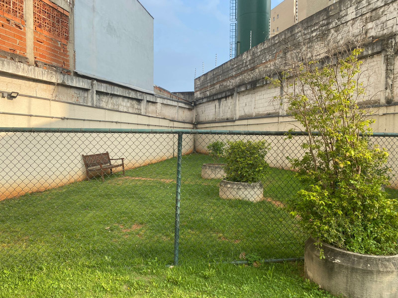 Apartamento à venda Vila Palmeiras com 49m² e 2 quartos por R$ 320.000 - 128200644-20eca0c1-f7d0-40c3-af34-413e2415d50d.jpeg