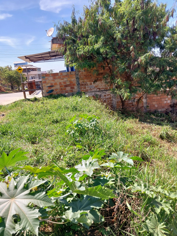 Terreno à venda Santa Cecília  com 400m² e 1 quarto por R$ 180.000 - 1572837382-20230418-104805.jpg