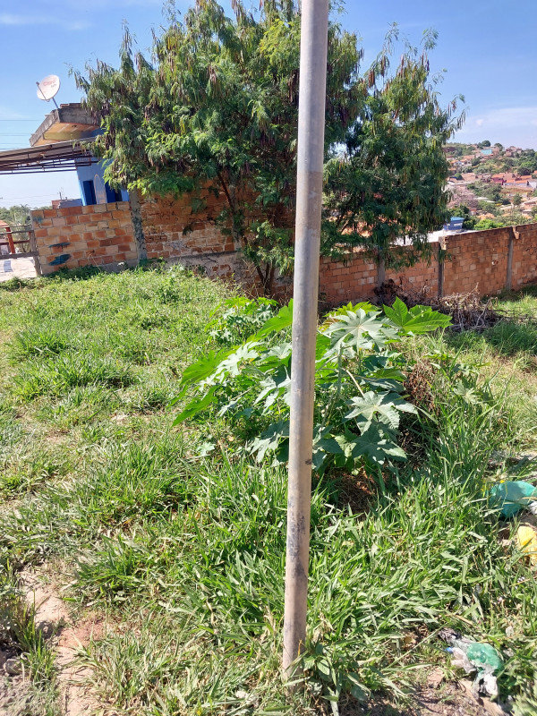 Terreno à venda Santa Cecília  com 400m² e 1 quarto por R$ 180.000 - 746767767-20230418-104755.jpg