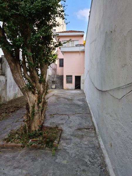 Casa à venda Santa Paula com 250m² e 2 quartos por R$ 1.450.000 - 1512617953-whatsapp-image-2023-09-18-at-12.jpeg