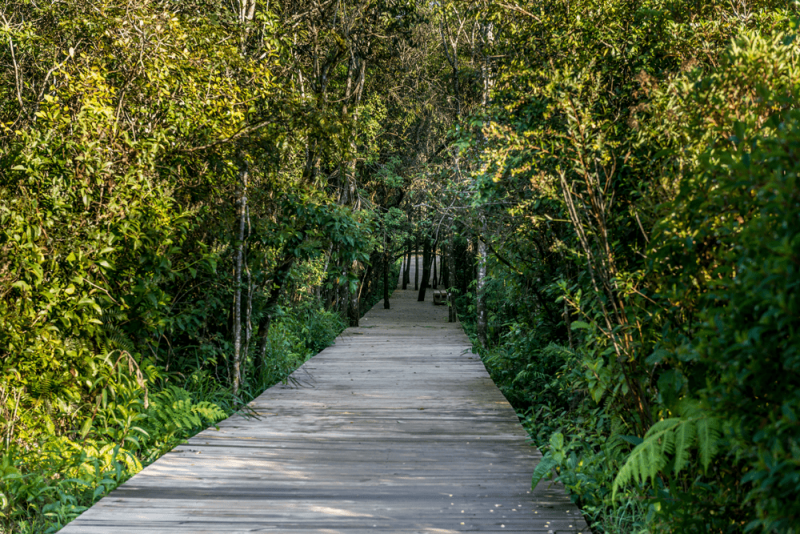 Terreno à venda Centro com 600m² e 1 quarto por R$ 20.000 - 1087388333-trilha.png