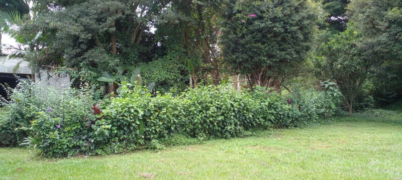 Chácara à venda Jardim Novo Horizonte com 3000m² e 4 quartos por R$ 540.000 - 1125639127-35fc7320-a0da-480a-9f1a-9a1797080431.jpeg