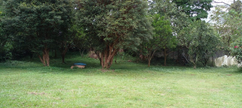 Chácara à venda Jardim Novo Horizonte com 3000m² e 4 quartos por R$ 540.000 - 1804509784-94884d8b-d423-4889-9f6f-435878343b49.jpeg