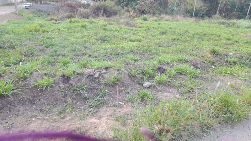 Terreno à venda Paraíso com 3000m² e 1 quarto por R$ 600.000 - 1203793191-photo-2023-09-10-17-57-52-1.jpg