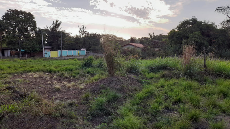 Terreno à venda Paraíso com 3000m² e 1 quarto por R$ 600.000 - 2051301783-photo-2023-09-10-17-57-53-2.jpg