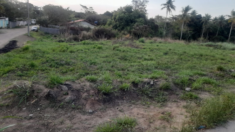 Terreno à venda Paraíso com 3000m² e 1 quarto por R$ 600.000 - 991627522-photo-2023-09-10-17-57-53.jpg