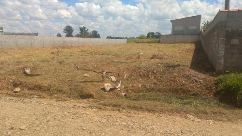 Terreno à venda Água Espraiada (Caucaia do Alto) com 2100m² e 1 quarto por R$ 750.000 - 1728445443-f01dc2e3-14b4-4b4d-8bbc-bb201d80982c.jpeg