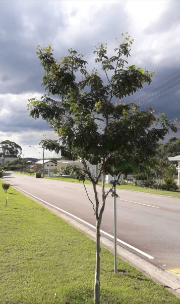 Terreno à venda Centro com 1000m² e 1 quarto por R$ 240.000 - 134020003-whatsapp-image-2023-09-21-at-10.jpeg