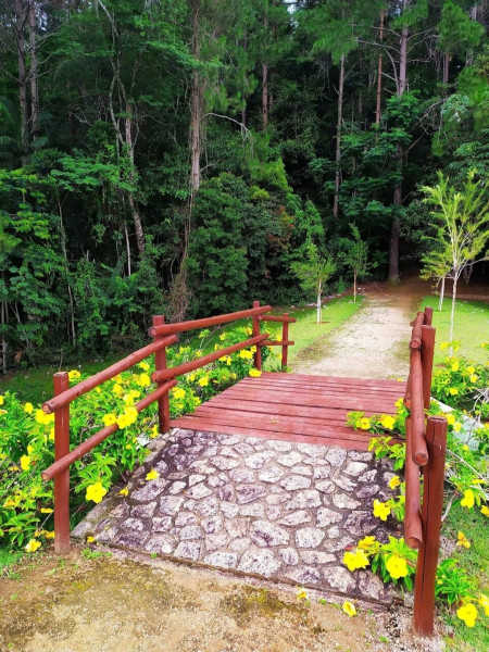 Terreno à venda Centro com 1000m² e 1 quarto por R$ 240.000 - 894489782-whatsapp-image-2023-09-21-at-10.jpeg