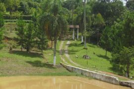 Sítio à venda Jardim Santa Lucia com 60000m² - 3 dormitórios -  vagas - R$ 900.000 - 2107833881-pict0277.JPG