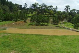 Sítio à venda Jardim Santa Lucia com 60000m² - 3 dormitórios -  vagas - R$ 900.000 - 604387645-pict0266.JPG