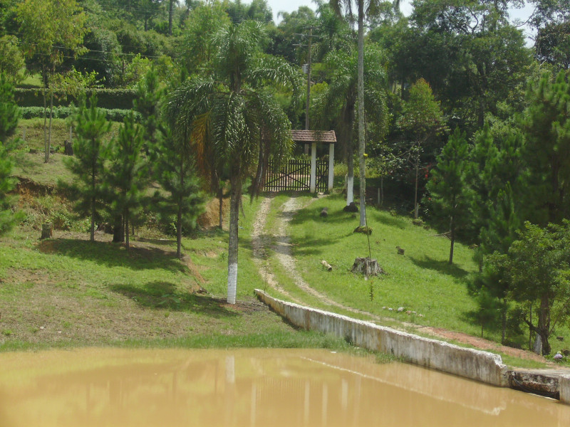 Sítio à venda Jardim Santa Lucia com 60000m² e 3 quartos por R$ 900.000 - 2107833881-pict0277.JPG