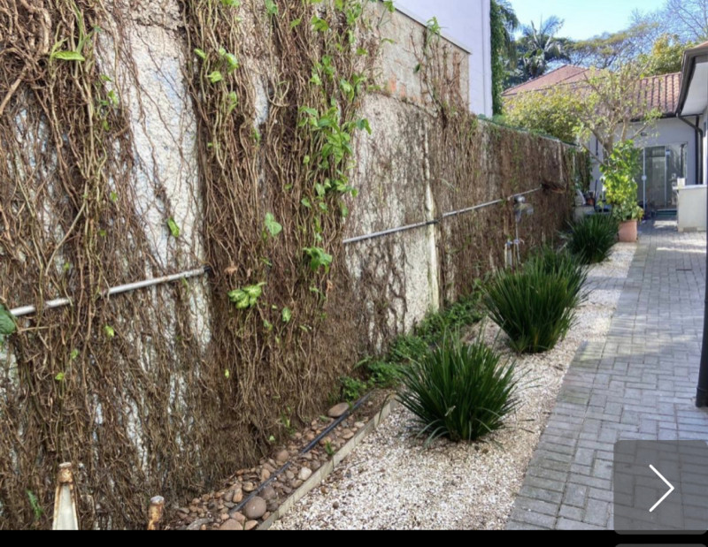 Casa para alugar Jardim Paulista com 250m² e 3 quartos por R$ 13.450 - 139429062-img-7007.jpeg