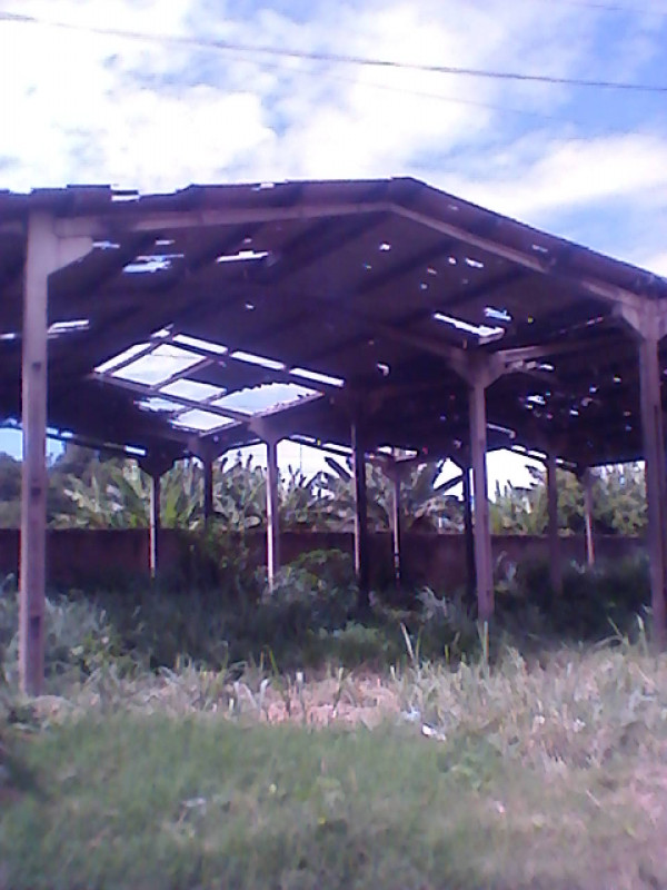 Terreno à venda Manga com 1155m² e 1 quarto por R$ 350.000 - 302183165-4-barracao-04.jpg