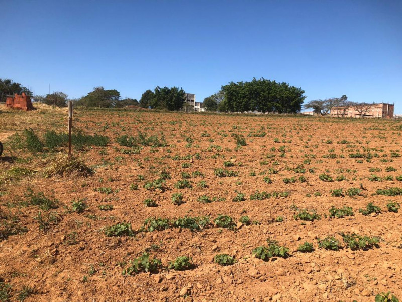 Terreno à venda Jutuba com 750m² e 1 quarto por R$ 40.000 - 1724247606-whatsapp-image-2023-09-22-at-13.jpeg