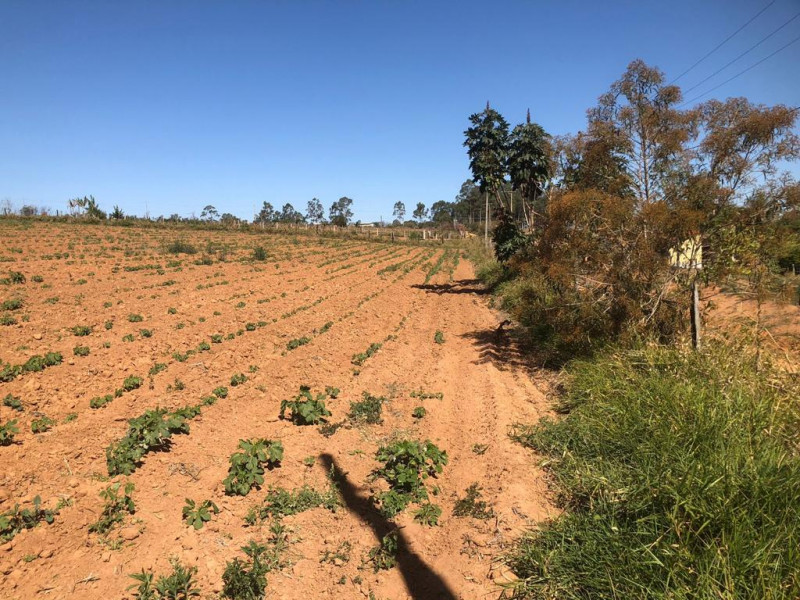 Terreno à venda Jutuba com 750m² e 1 quarto por R$ 40.000 - 746326381-whatsapp-image-2023-09-22-at-13.jpeg