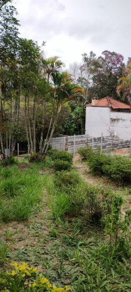 Chácara à venda Chácaras Guanabara com 2680m² e 3 quartos por R$ 650.000 - 1767634192-img-20230304-wa0035.jpg