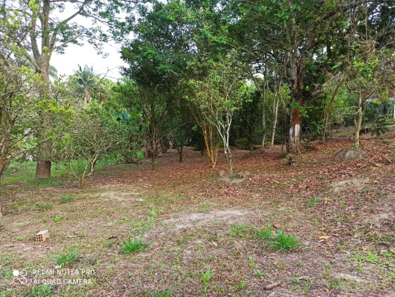 Chácara à venda Chácaras Guanabara com 2680m² e 3 quartos por R$ 650.000 - 207438032-img-20230315-wa0127.jpg