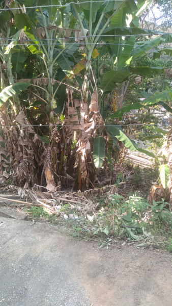 Casa à venda Centro com 60m² e 2 quartos por R$ 85.000 - 1506317785-whatsapp-image-2023-09-09-at-16.jpeg