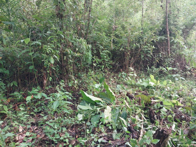 Terreno à venda Centro com 24200m² e 1 quarto por R$ 54.000 - 1487653807-st9.jpg