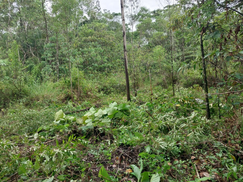 Terreno à venda Centro com 24200m² e 1 quarto por R$ 54.000 - 1492621825-st15.jpg