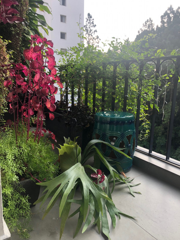 Apartamento à venda Vila Ester (Zona Norte) com 90m² e 2 quartos por R$ 770.000 - 633013326-img-0673.jpg