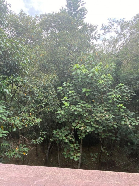 Casa de condomínio à venda Ivoturucaia com 415m² e 4 quartos por R$ 2.100.000 - 720023215-bb250c27-5a1c-434f-a52c-5815ec5ed690.jpeg