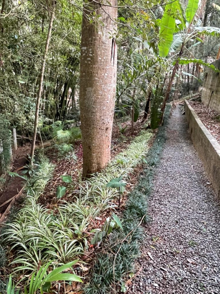 Casa de condomínio à venda Centro com 460m² e 5 quartos por R$ 4.800.000 - 868968792-jardim3.jpeg