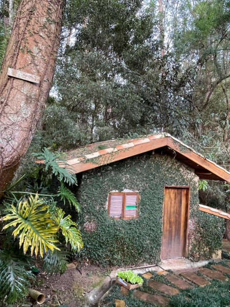 Casa de condomínio à venda Centro com 460m² e 5 quartos por R$ 4.800.000 - 892339270-jardim2.jpeg