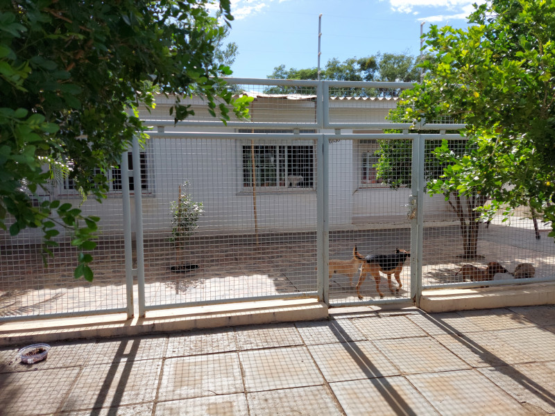 Casa à venda Paraboi com 135m² e 2 quartos por R$ 450.000 - 1775487408-20230219-095047.jpg