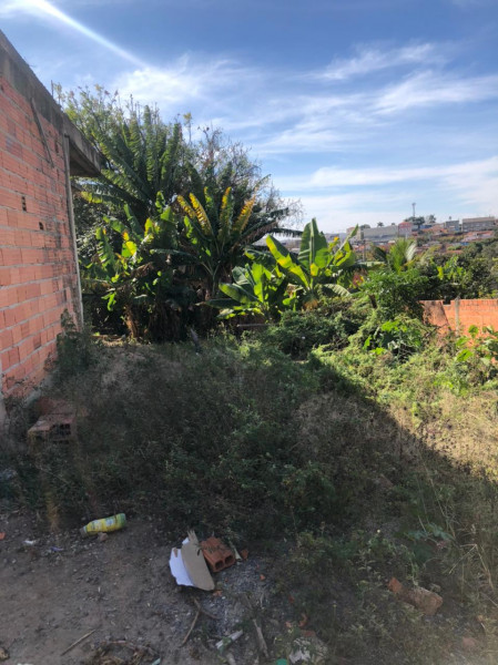 Terreno à venda Vila Aeroporto com 427m² e 1 quarto por R$ 427.000 - 793806586-18b4b1f8-437d-4826-bad4-cc29fa049616.jpeg