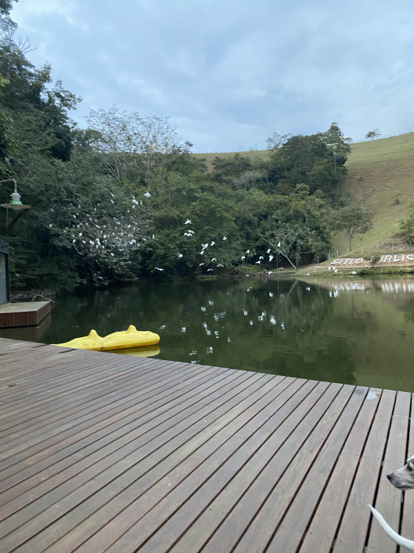 Fazenda à venda Centro com 432000m² e 6 quartos por R$ 6.500.000 - 1826676112-fbd11531-1ab8-4e86-84c9-fa8faf8e2d82.jpeg
