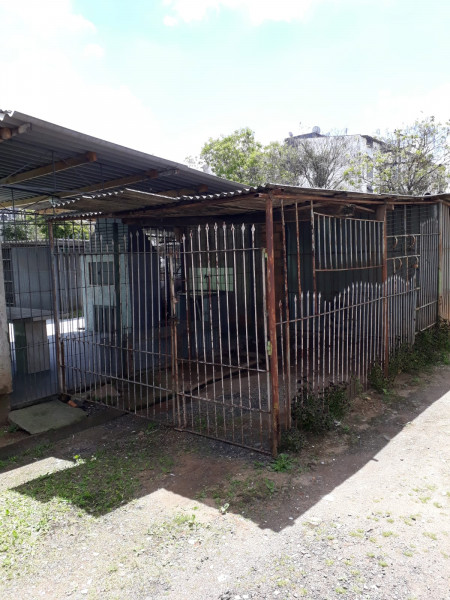 Apartamento à venda Rubem Berta com 52m² e 2 quartos por R$ 60.000 - 166854609-img-20230117-wa0019.jpg