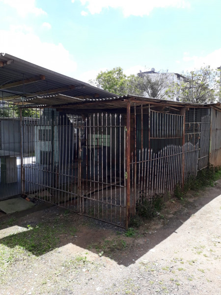 Apartamento à venda Rubem Berta com 52m² e 2 quartos por R$ 60.000 - 61528401-img-20230117-wa0020.jpg