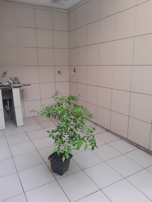 Casa à venda Jardim Aeroporto III com 125m² e 2 quartos por R$ 340.000 - 605661918-20230903-174904.jpg