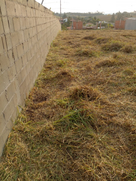 Terreno à venda Nova Suiça com 1000m² e 1 quarto por R$ 170.000 - 1219551623-img-20230823-wa0015.jpg