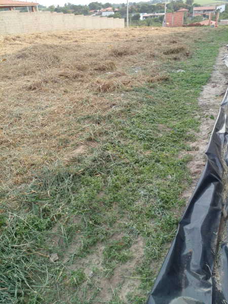Terreno à venda Nova Suiça com 1000m² e 1 quarto por R$ 170.000 - 1963215063-img-20230823-wa0016.jpg