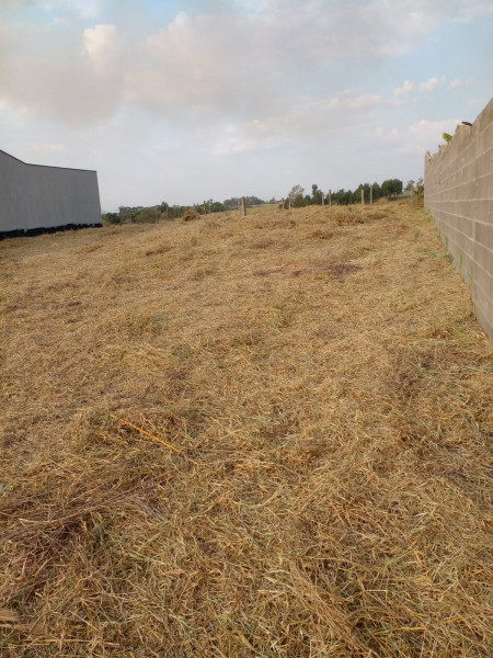 Terreno à venda Nova Suiça com 1000m² e 1 quarto por R$ 170.000 - 2045485989-img-20230823-wa0013.jpg