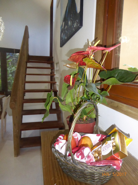 Casa à venda CENTRO com 350m² e 2 quartos por R$ 4.000.000 - 1830023684-p1010723.jpg