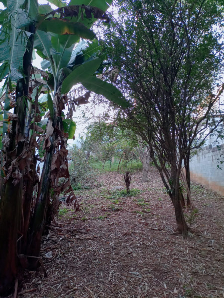 Comercial à venda Jaraguá com 500m² e 1 quarto por R$ 630.000 - 1447639202-img-20230823-wa0022.jpg