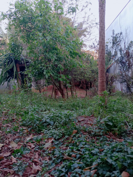 Comercial à venda Jaraguá com 500m² e 1 quarto por R$ 630.000 - 1757905284-img-20230823-wa0034.jpg