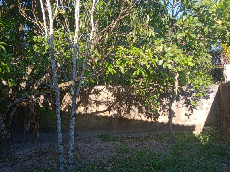 Casa à venda Jardim Regina com 360m² e 2 quartos por R$ 300.000 - 847628254-imagem-do-recuo-fundos.jpg