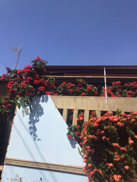 Casa de condomínio à venda Pitangueiras com 350m² e 6 quartos por R$ 1.450.000 - 1127427729-1000005032.jpg