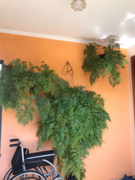 Casa de condomínio à venda Pitangueiras com 350m² e 6 quartos por R$ 1.450.000 - 388221349-1000005023.jpg