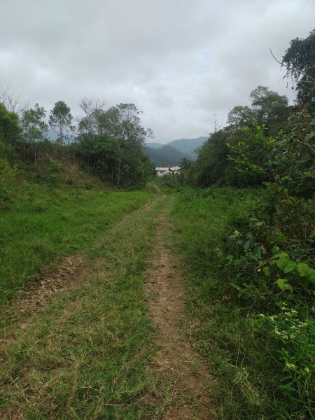 Terreno à venda Centro com 10000m² e 1 quarto por R$ 400.000 - 1605151878-img-20231001-wa0030.jpg