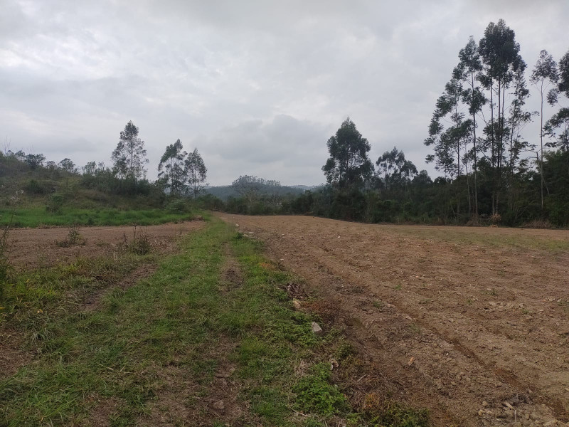 Terreno à venda Centro com 10000m² e 1 quarto por R$ 400.000 - 1719079707-img-20231001-wa0032.jpg