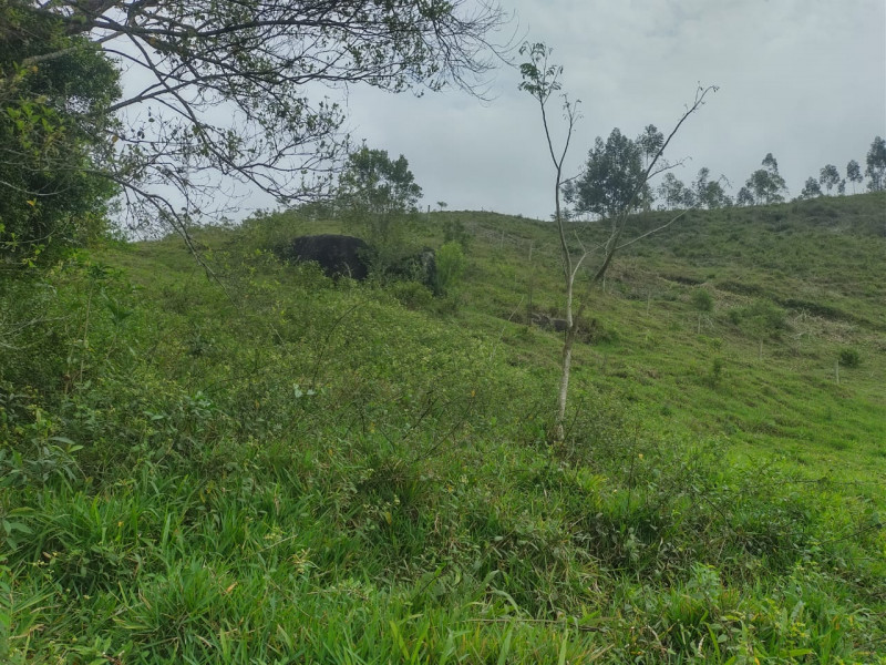 Terreno à venda Centro com 10000m² e 1 quarto por R$ 400.000 - 1758328022-img-20231001-wa0031.jpg