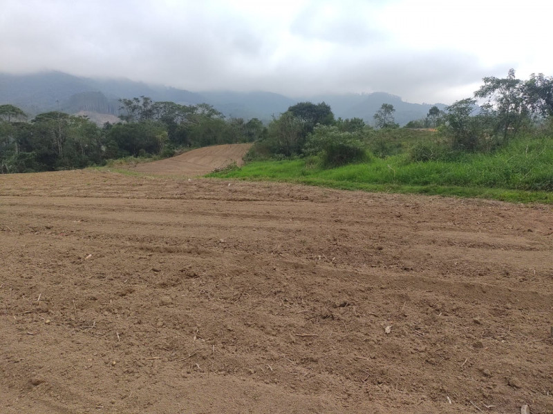 Terreno à venda Centro com 10000m² e 1 quarto por R$ 400.000 - 255719377-img-20231001-wa0026.jpg