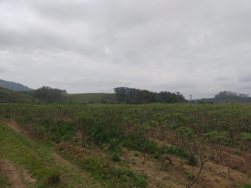 Terreno à venda Centro com 10000m² e 1 quarto por R$ 400.000 - 48850476-img-20231001-wa0024.jpg